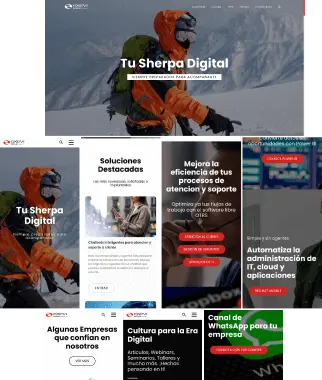 Clon web de Exevi